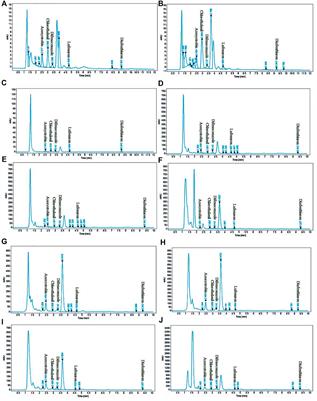 Modified matrix solid phase dispersion-HPLC method for determination of pesticide residue in vegetables and their impact on human health: A risk assessment